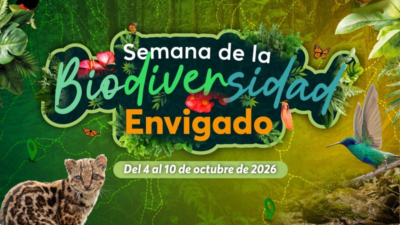 Envigado se prepara para vivir la Semana de la Biodiversidad 2026: una apuesta por la riqueza natural y la sostenibilidad