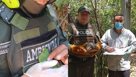 Así fueron las acciones de la Policía para proteger la seguridad y el medio ambiente en Antioquia