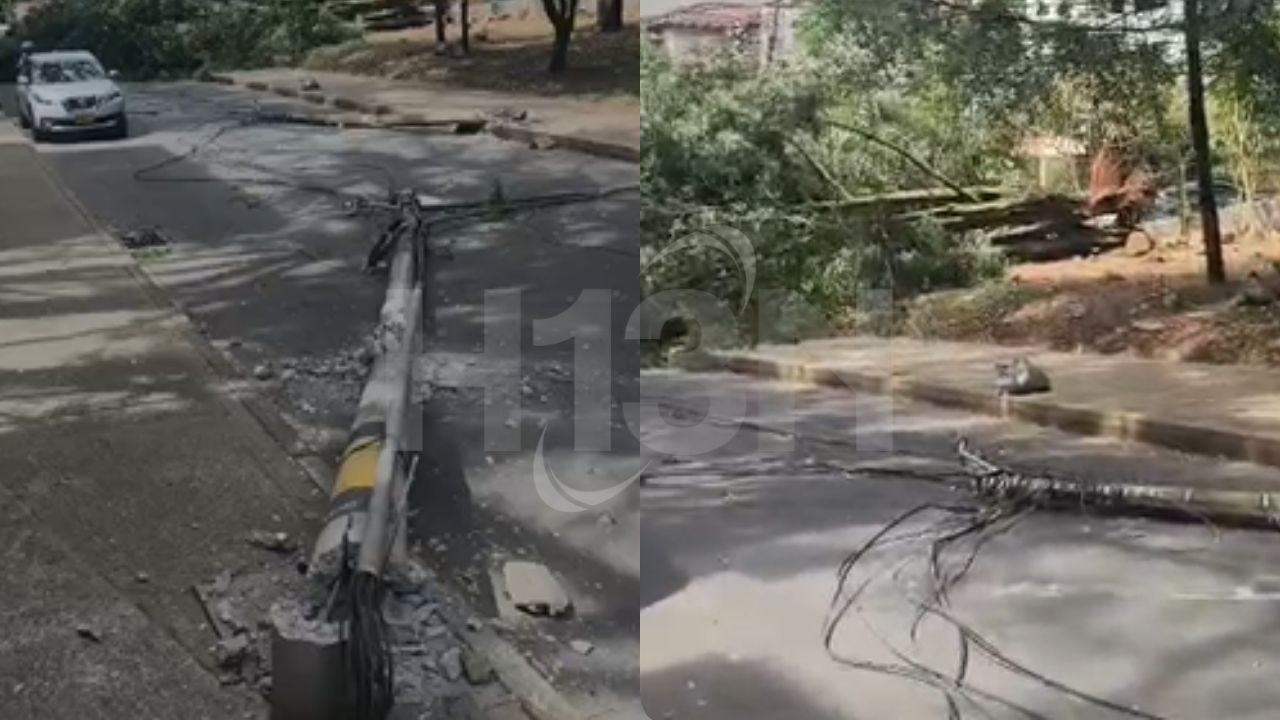 Caída de árboles y cables bloquea la carrera 35 y deja afectaciones en El Poblado