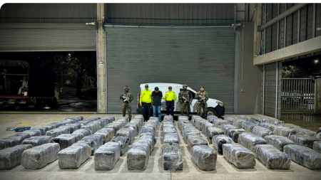 Cayeron cerca de tres toneladas de marihuana en Bello en menos de 24 horas