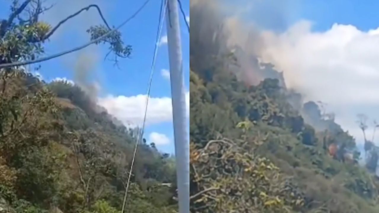 Reportan que incendio forestal en zona rural de La Ceja afectó dos veredas