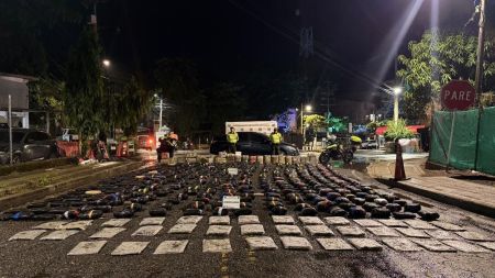 Golpe al tráfico de drogas: incautan 428 kilos de marihuana en La Pintada tatiana 1