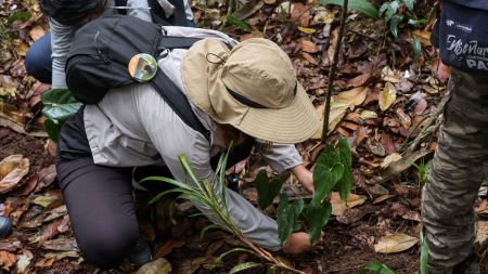 El bosque del Parque Arví se convirtió en laboratorio de biodiversidad durante la Climate Week Medellín