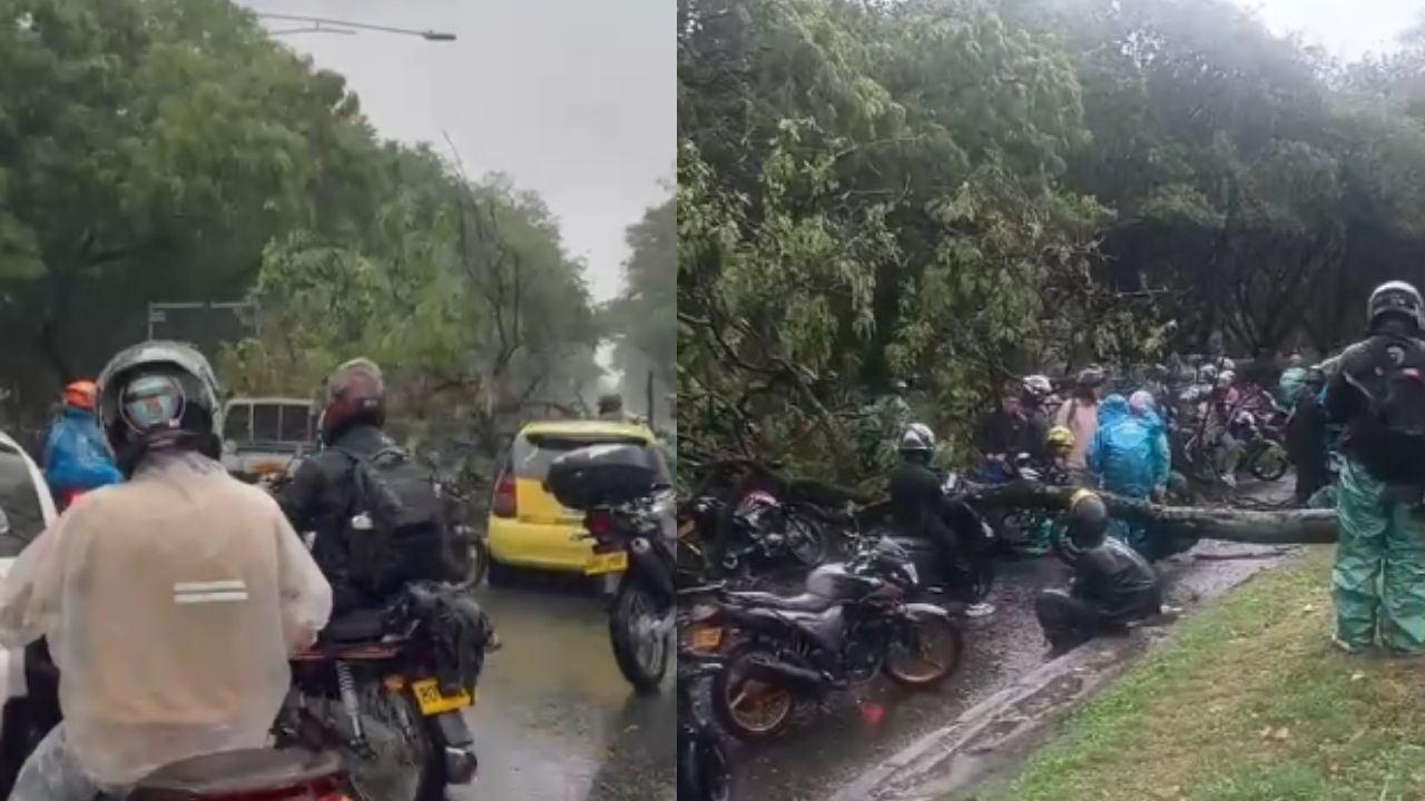 Reportan caída de árboles y varias afectaciones por las fuertes lluvias de este jueves en Medellín