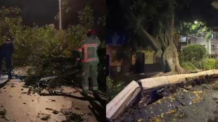 VIDEO: Más de veinte emergencias dejan las fuertes precipitaciones en Copacabana