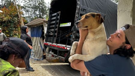 Guarne inaugura su Centro de Bienestar Animal y abre convocatoria para adopción responsable
