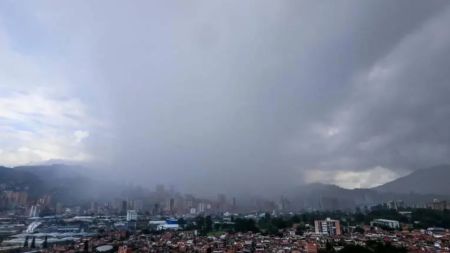 Caída de un árbol en Medellín, genera cierre total en la Avenida Guayabal, llegando a Cristo Rey
