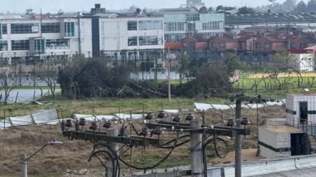 VIDEO: Caída de árboles, postes y techos volando: así fue la emergencia por lluvias en Funza VIDEO: Caída de árboles, postes y techos volando: así fue la emergencia por lluvias en Funza