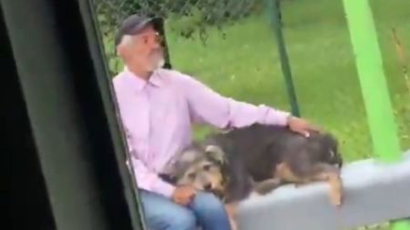VIDEO | En El Santuario, a un adulto mayor no lo dejaron subirse a un bus con su perrito En El Santuario, a un adulto mayor no lo dejaron subirse a un bus con su perrito