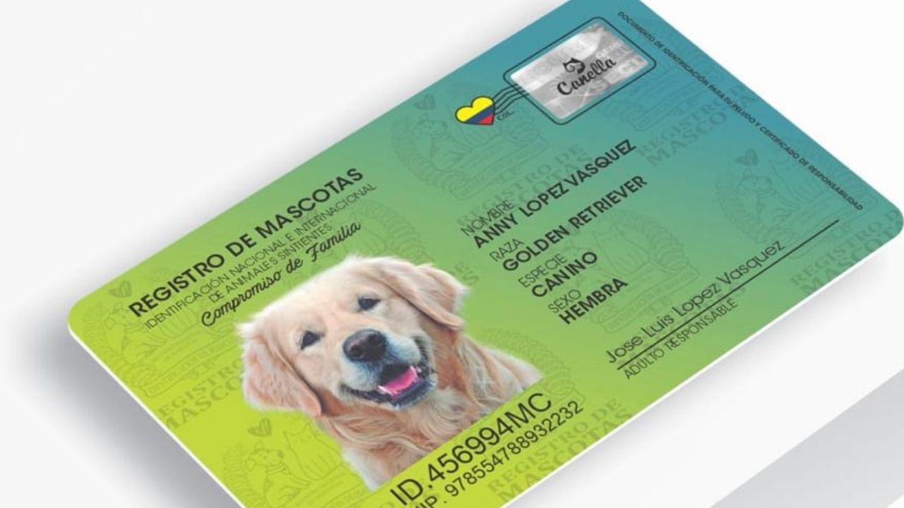 En La Estrella, los perros y gatos del municipio tendrán su propia cédula