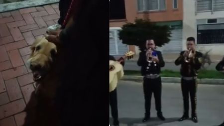 VIDEO: El último “Amor eterno”: la despedida con mariachis a una perrita con cáncer VIDEO: El último “Amor eterno”: la despedida con mariachis a una perrita con cáncer