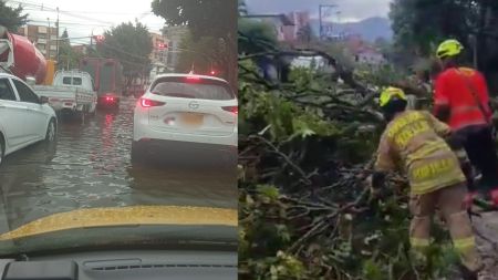 Aguacero en Medellín deja árboles caídos, encharcamientos y afectaciones en la movilidad