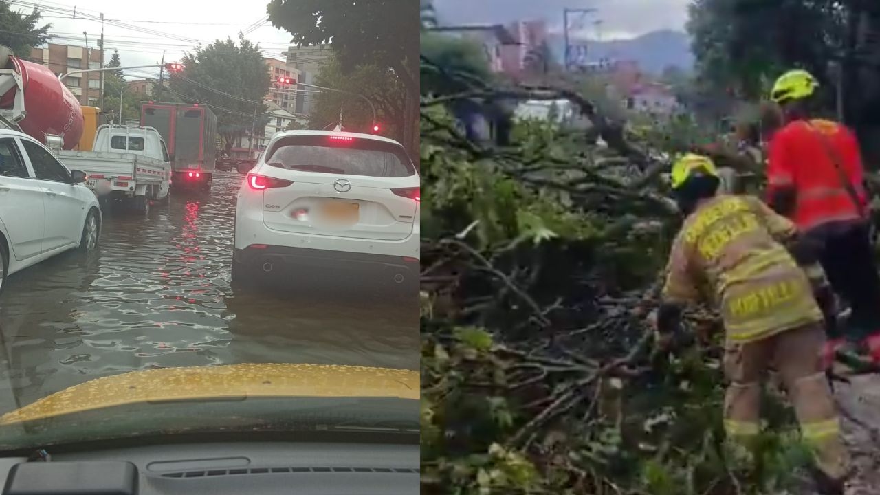 Aguacero en Medellín deja árboles caídos, encharcamientos y afectaciones en la movilidad