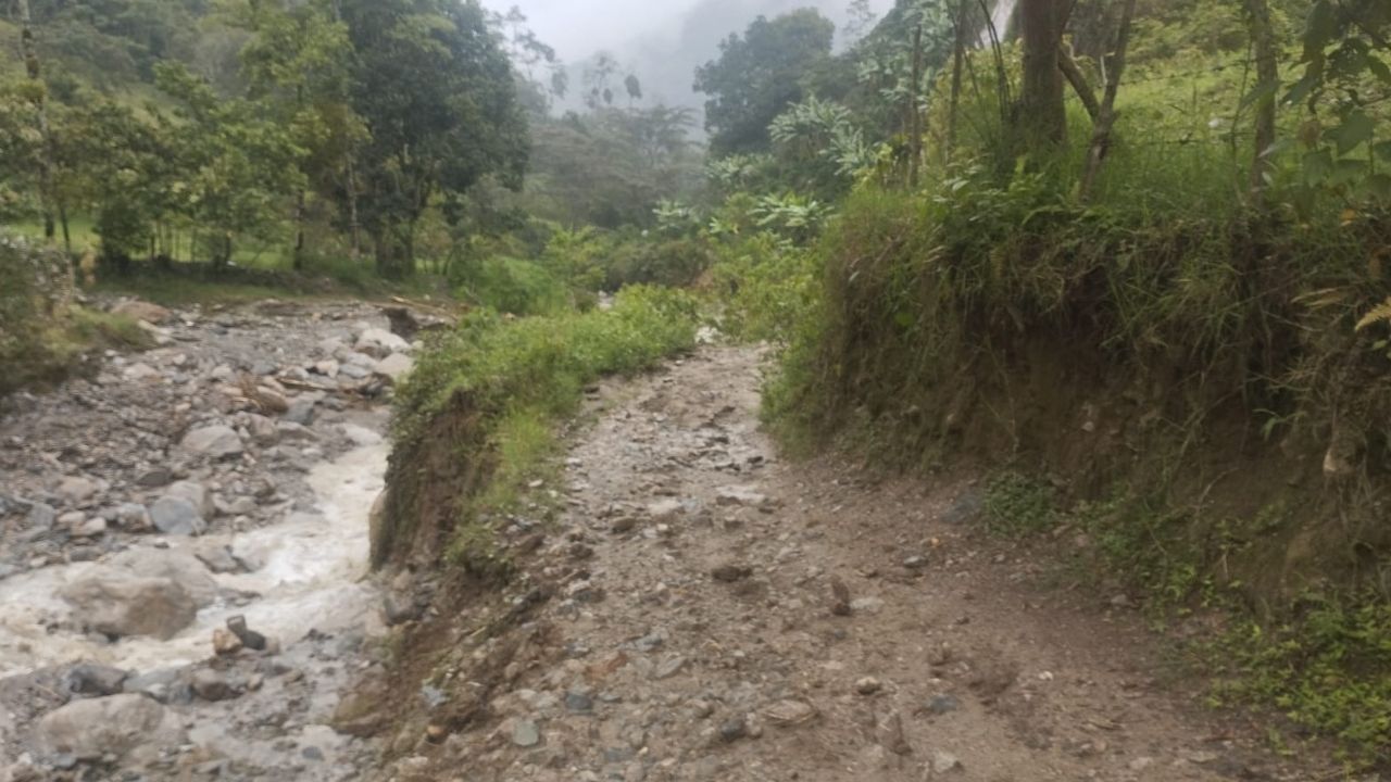 VIDEO: Creciente súbita en Liborina deja vías dañadas y pérdidas de ganado