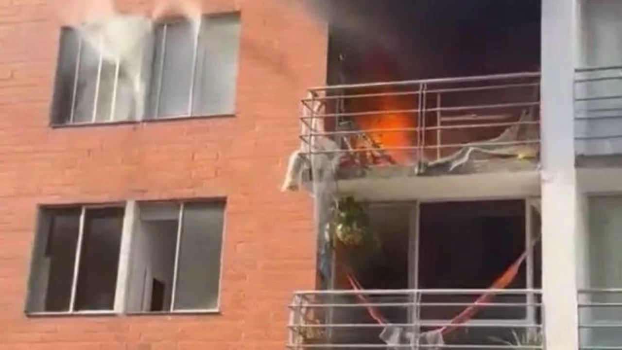 Murió Molly, la perrita que cayó de un quinto piso intentando escapar de un incendio