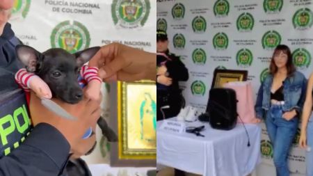 Se le habían llevado hasta el disfraz de su perrita: recuperan bienes hurtados en una vivienda de Yolombó