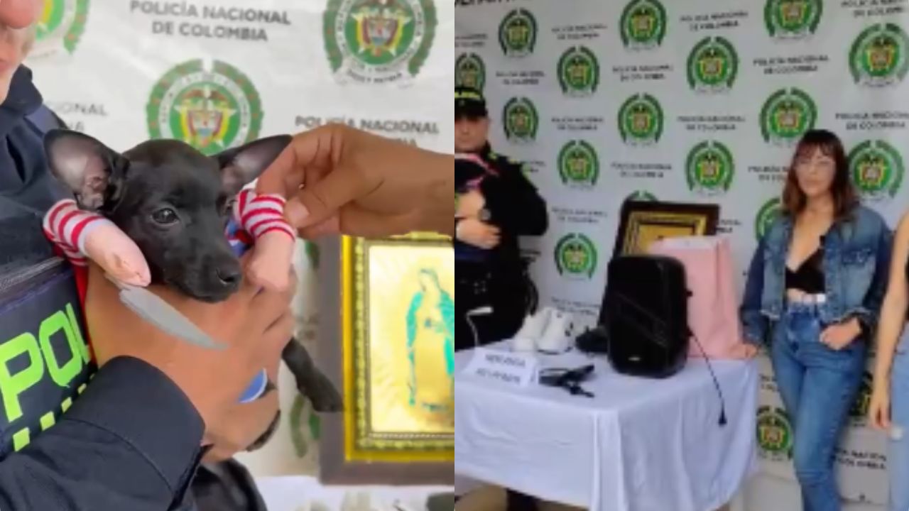 Se le habían llevado hasta el disfraz de su perrita: recuperan bienes hurtados en una vivienda de Yolombó