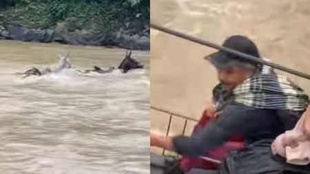 VIDEO: En garrucha y contra la corriente: así cruzan el río Penderisco en Urrao