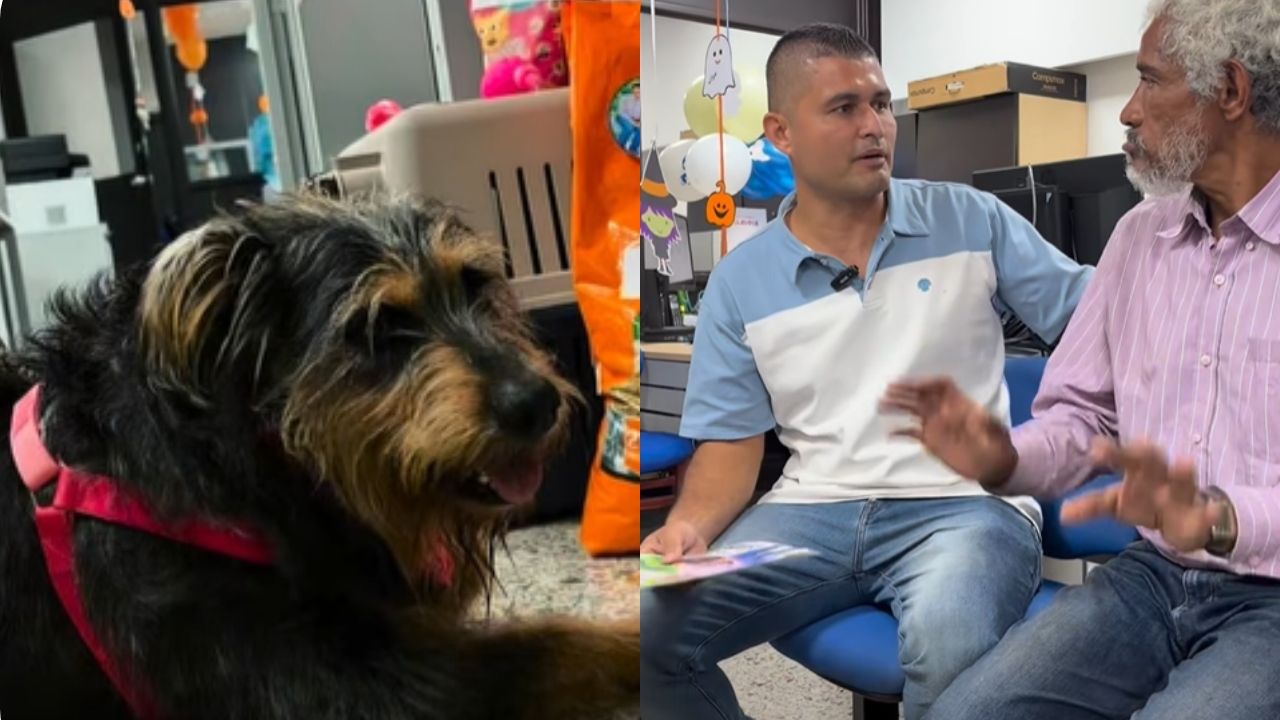 Luego de ser rechazados por un conductor, don José Luis y Luna recibieron disculpas