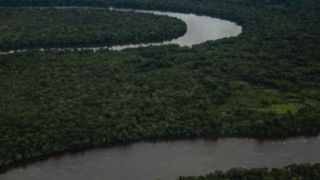 MinAmbiente revoca resolución que declaró la Amazonía como reserva definitiva por falta de consulta previa tatiana 12